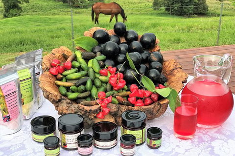 Atherton Tablelands Small-Group Food & Wine Tasting Tour From Port Douglas - Darwin Holiday 12