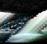 Natural Bridge Glow Worm Night Tour from Gold Coast - Darwin Holiday