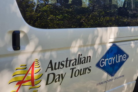 Natural Bridge Glow Worm Night Tour From Gold Coast - Darwin Holiday 9