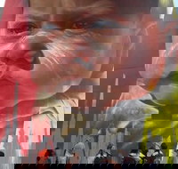 Brisbane Aboriginal Cultural Walking Tour - Darwin Holiday