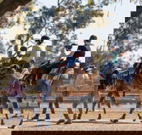 Camel Rides - Darwin Holiday