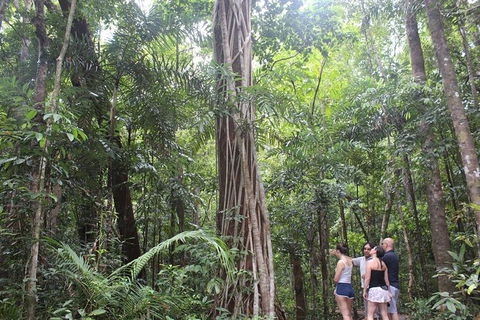 Sightseeing Tour - Half Day - Darwin Holiday 2