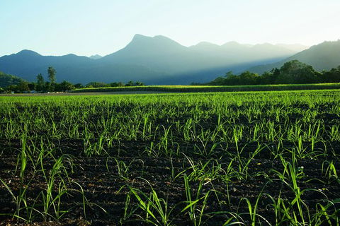 Private Transfer 4 To 6 Passengers, Cairns <> Port Douglas. One Way. - Darwin Holiday 4