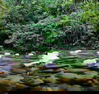 Mossman Silky Oaks to/from Cairns - Darwin Holiday