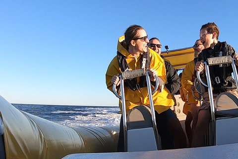 Noosa Oceanrider - Thrill Ride - Darwin Holiday 5