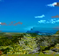 Cape Tribulation Day Tour - Darwin Holiday