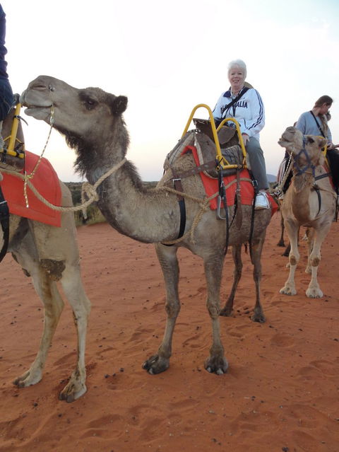 Uluru Small-Group Tour By Camel At Sunrise Or Sunset - Darwin Holiday 2