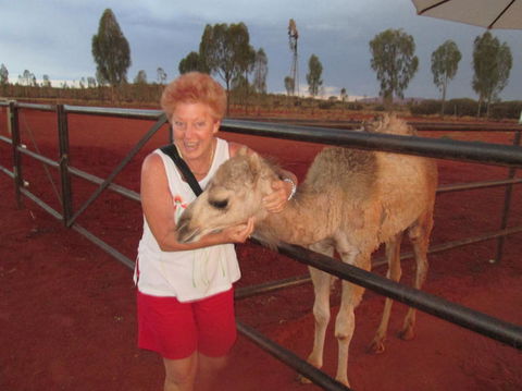 Uluru Small-Group Tour By Camel At Sunrise Or Sunset - Darwin Holiday 18