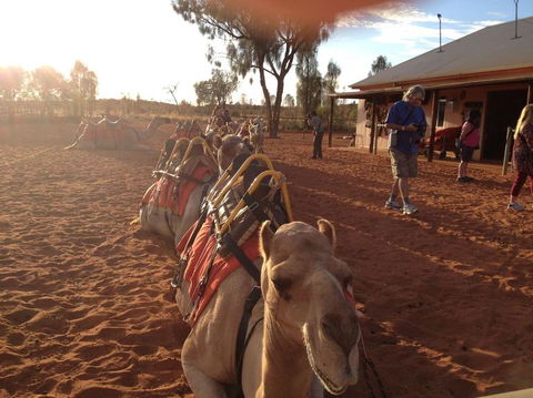 Uluru Small-Group Tour By Camel At Sunrise Or Sunset - Darwin Holiday 22