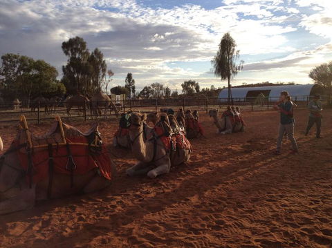 Uluru Small-Group Tour By Camel At Sunrise Or Sunset - Darwin Holiday 23