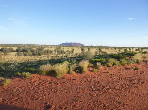 Uluru Small-Group Tour By Camel At Sunrise Or Sunset - Darwin Holiday 9