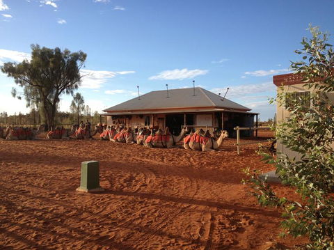 Uluru Small-Group Tour By Camel At Sunrise Or Sunset - Darwin Holiday 20