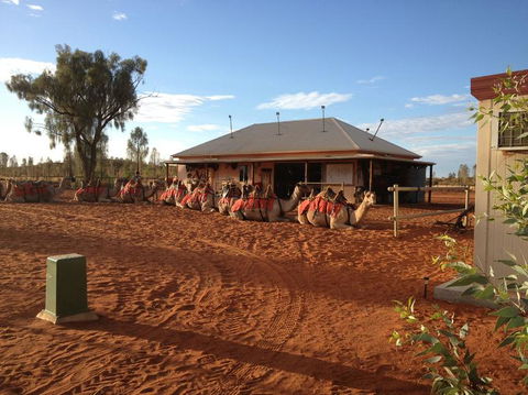 Uluru Small-Group Tour By Camel At Sunrise Or Sunset - Darwin Holiday 19