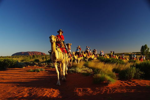 Uluru Small-Group Tour By Camel At Sunrise Or Sunset - Darwin Holiday 29