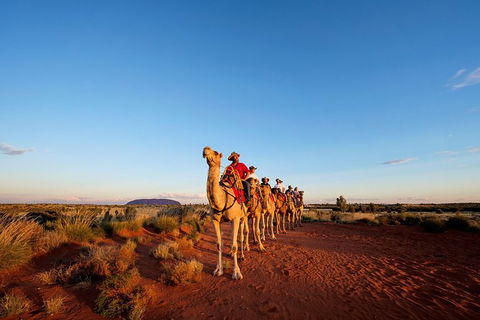 Uluru Small-Group Tour By Camel At Sunrise Or Sunset - Darwin Holiday 26