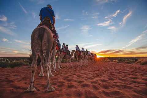 Uluru Small-Group Tour By Camel At Sunrise Or Sunset - Darwin Holiday 28