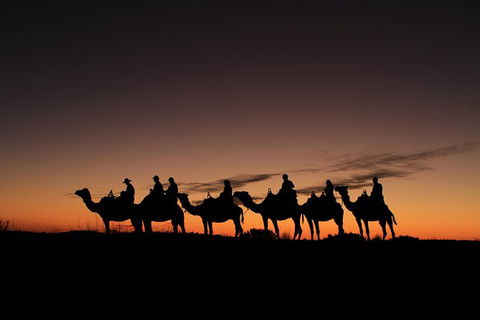 Uluru Small-Group Tour By Camel At Sunrise Or Sunset - Darwin Holiday 27