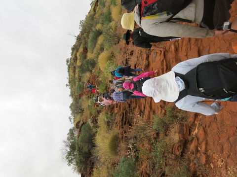 Kings Canyon Day Trip From Ayers Rock - Darwin Holiday 14