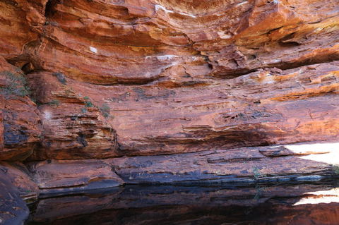 Kings Canyon Day Trip From Ayers Rock - Darwin Holiday 16