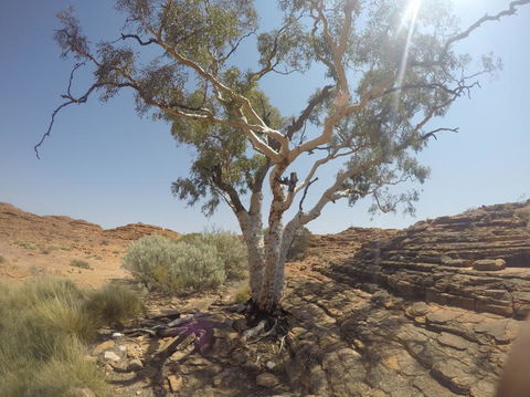 Kings Canyon Day Trip From Ayers Rock - Darwin Holiday 3