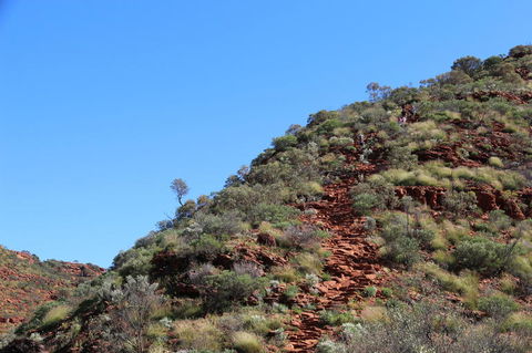 Kings Canyon Day Trip From Ayers Rock - Darwin Holiday 21