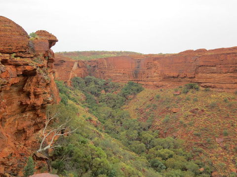 Kings Canyon Day Trip From Ayers Rock - Darwin Holiday 13