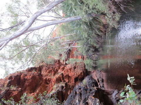 Kings Canyon Day Trip From Ayers Rock - Darwin Holiday 11