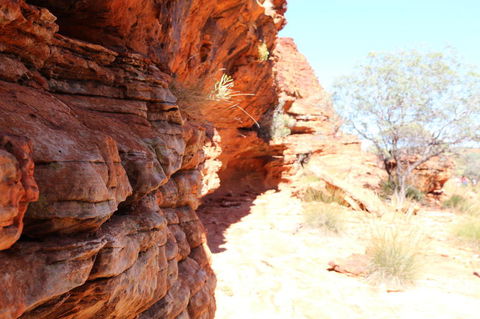 Kings Canyon Day Trip From Ayers Rock - Darwin Holiday 20