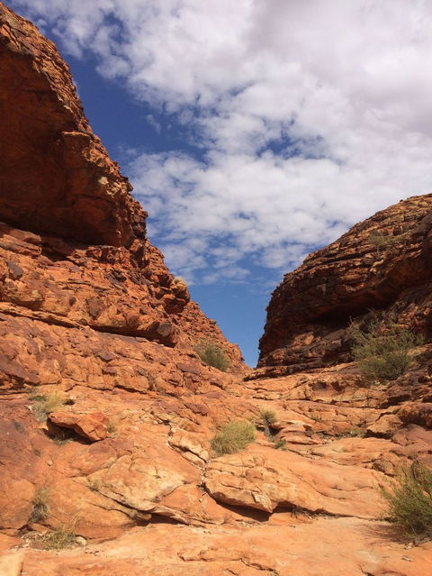Kings Canyon Day Trip From Ayers Rock - Darwin Holiday 25