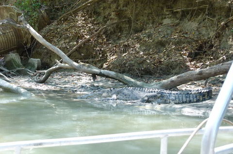 Kakadu Full-Day Tour From Darwin With Lunch - Darwin Holiday 2