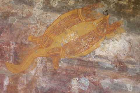 Kakadu Full-Day Tour From Darwin With Lunch - Darwin Holiday 4