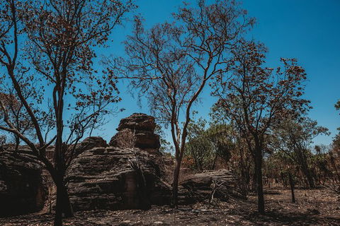 Kakadu Full-Day Tour From Darwin With Lunch - Darwin Holiday 6