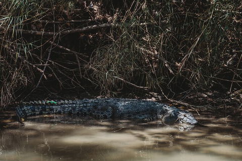 Kakadu Full-Day Tour From Darwin With Lunch - Darwin Holiday 13