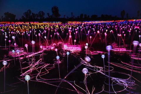 Uluru Field Of Light Sunrise Tour - Darwin Holiday 1