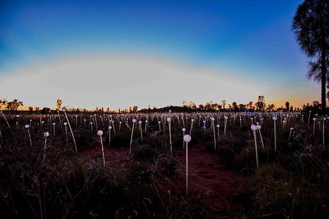Uluru Field Of Light Sunrise Tour - Darwin Holiday 8