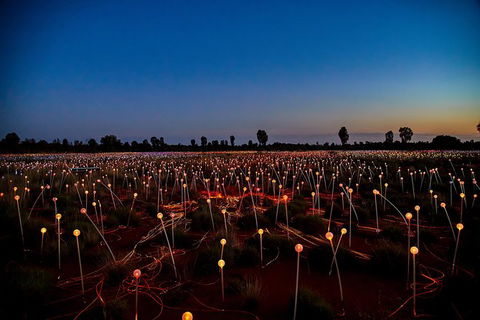 Uluru Field Of Light Sunrise Tour - Darwin Holiday 7