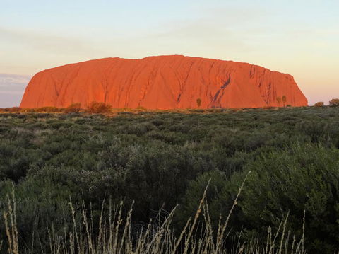 Uluru (Ayers Rock) Sunset With Outback Barbecue Dinner And Star Tour - Darwin Holiday 5