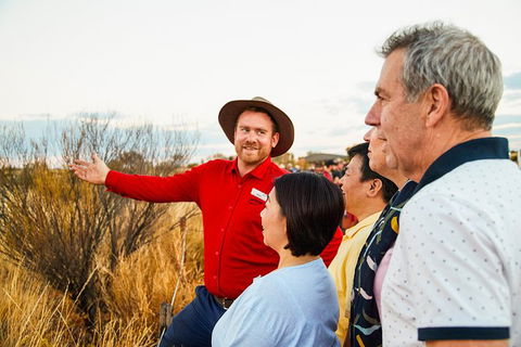 Uluru (Ayers Rock) Sunset With Outback Barbecue Dinner And Star Tour - Darwin Holiday 22