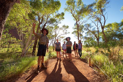 Uluru Small Group Tour Including Sunset - Darwin Holiday 5