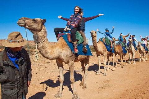Alice Springs Camel Tour - Darwin Holiday 7