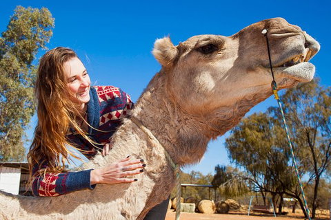 Alice Springs Camel Tour - Darwin Holiday 6