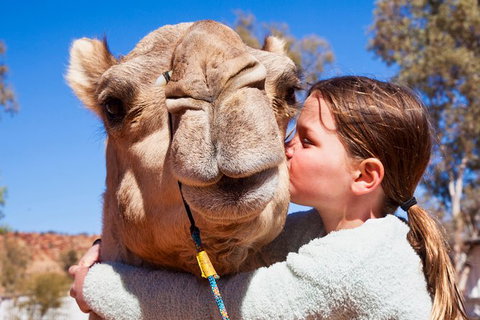 Alice Springs Camel Tour - Darwin Holiday 2