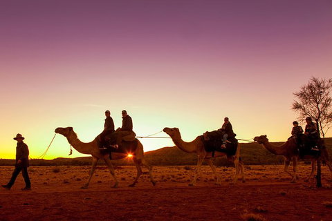 Alice Springs Camel Tour - Darwin Holiday 4