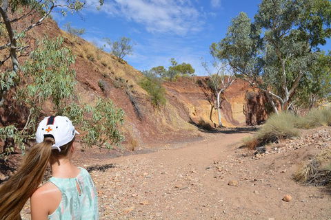 West MacDonnell Ranges Small-Group Full-Day Guided Tour - Darwin Holiday 2