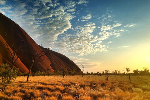 Highlights Of Uluru Including Sunrise And Breakfast - Darwin Holiday 5