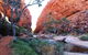 Half Day MacDonnell Ranges Small Group - Private Guided Tour - thumb 0