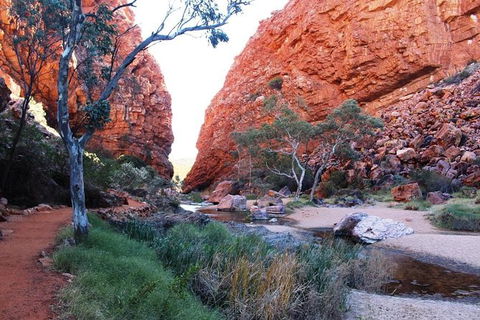 Half Day MacDonnell Ranges Small Group - Private Guided Tour - Darwin Holiday 0