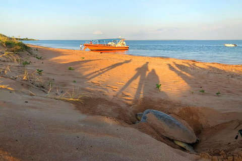 Turtle Tracks Tour To Bare Sand Island From Darwin - Darwin Holiday 4