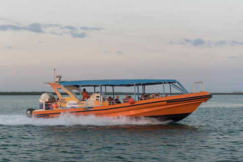 Turtle Tracks Tour To Bare Sand Island From Darwin - Darwin Holiday 5