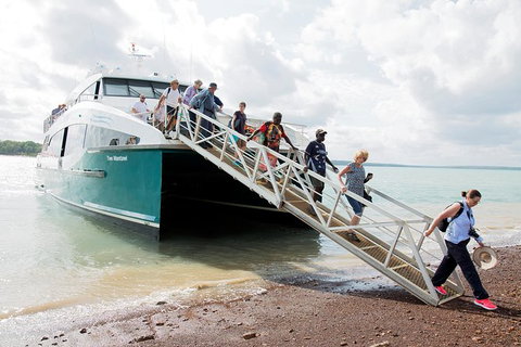 Tiwi Islands Cultural Experience From Darwin Including Ferry - Darwin Holiday 9